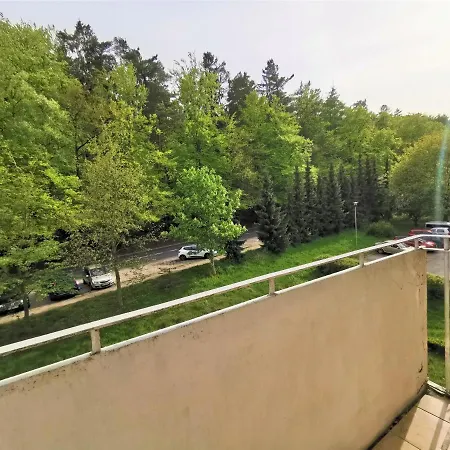 Euro24 Tulipan - Kolberga ソポト